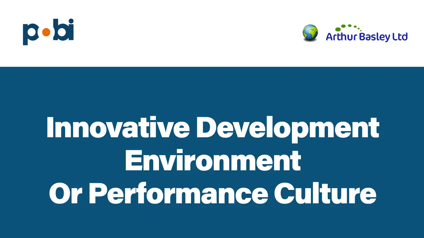 Innovative Development Environment or Performance Culture